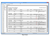 Inventory Control Report Viewer Screen